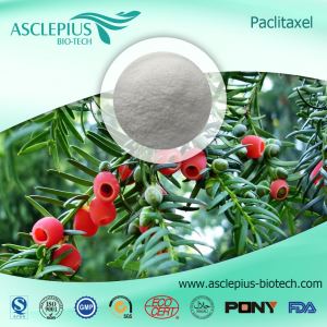 Taxol, paclitaxel, baccatin Ⅲ, Cephalomannine, Docetaxel 공급자 도매